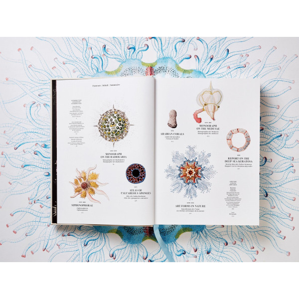 The Art and Science of Ernst Haeckel