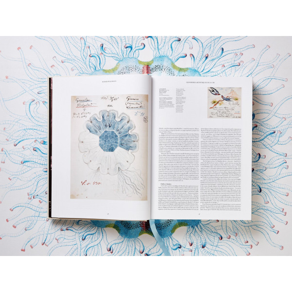 The Art and Science of Ernst Haeckel