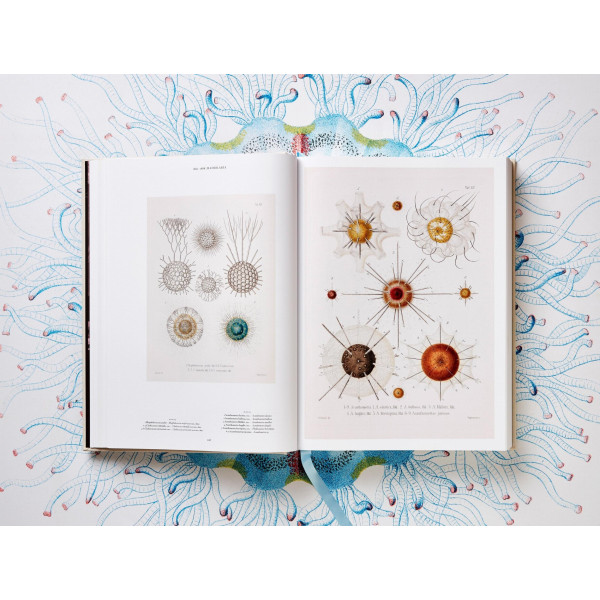 The Art and Science of Ernst Haeckel