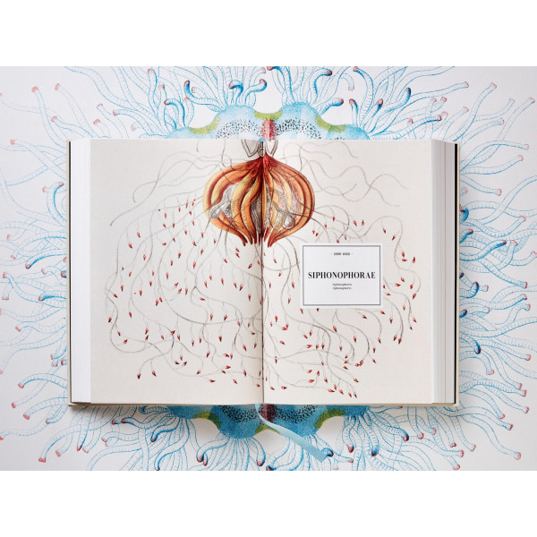 The Art and Science of Ernst Haeckel