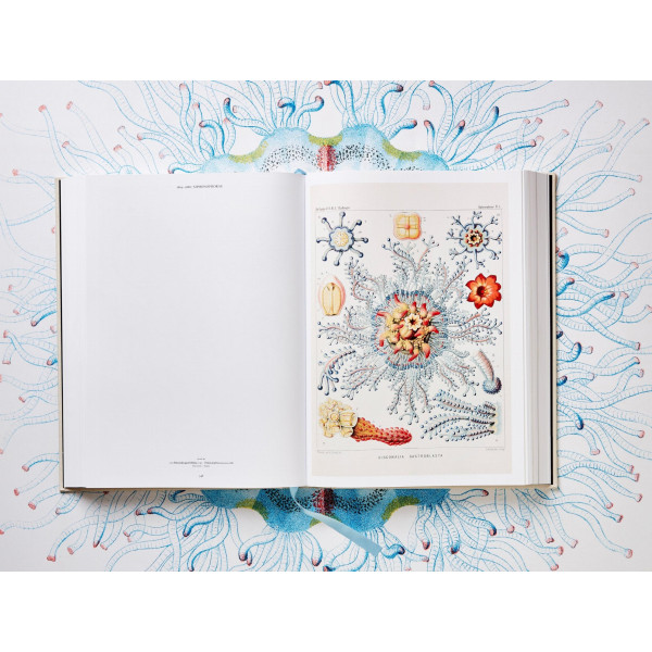 The Art and Science of Ernst Haeckel