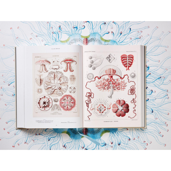 The Art and Science of Ernst Haeckel