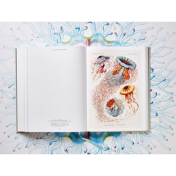 The Art and Science of Ernst Haeckel