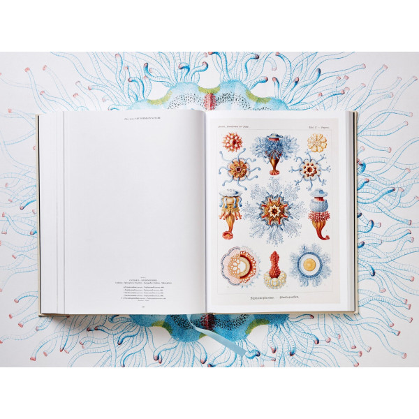The Art and Science of Ernst Haeckel