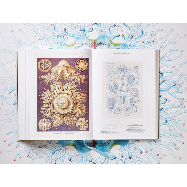 The Art and Science of Ernst Haeckel