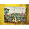 The Book of Citrus Fruits The Book of Citrus Fruits