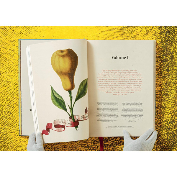 The Book of Citrus Fruits The Book of Citrus Fruits