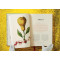 The Book of Citrus Fruits The Book of Citrus Fruits