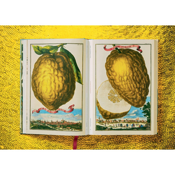 The Book of Citrus Fruits The Book of Citrus Fruits