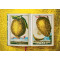 The Book of Citrus Fruits The Book of Citrus Fruits