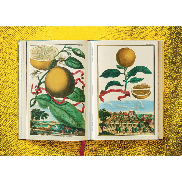 The Book of Citrus Fruits The Book of Citrus Fruits