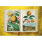 The Book of Citrus Fruits The Book of Citrus Fruits