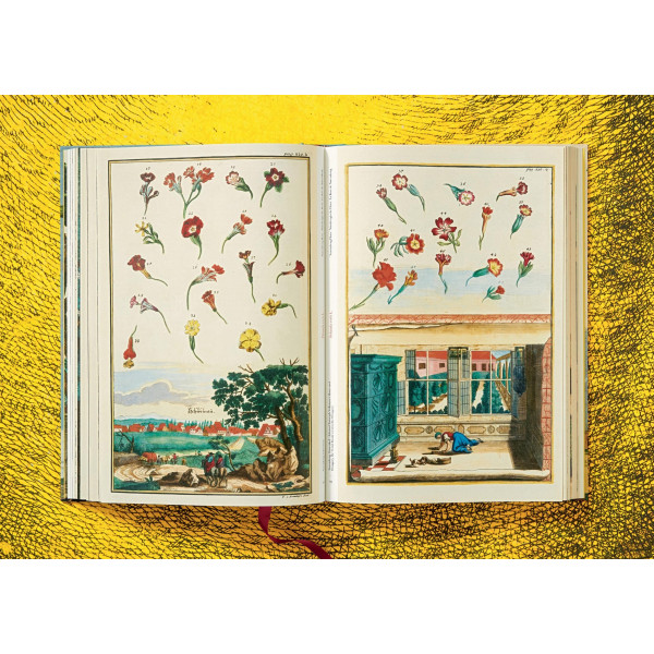 The Book of Citrus Fruits The Book of Citrus Fruits