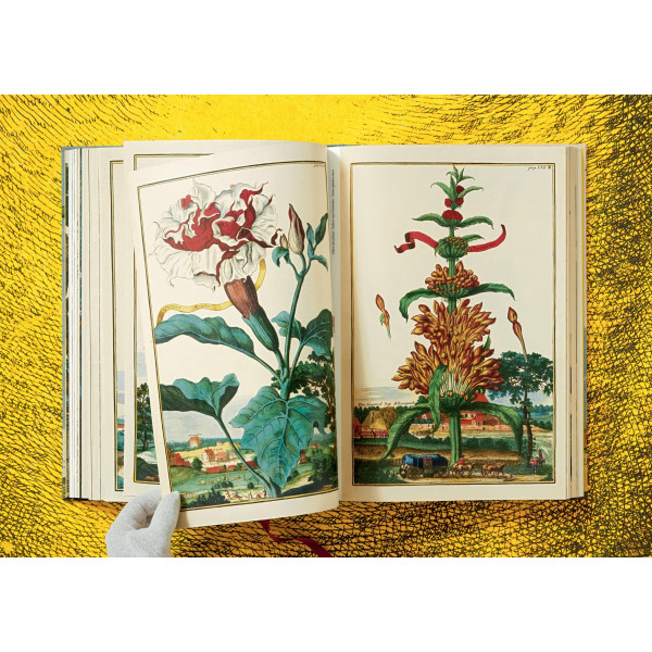 The Book of Citrus Fruits The Book of Citrus Fruits