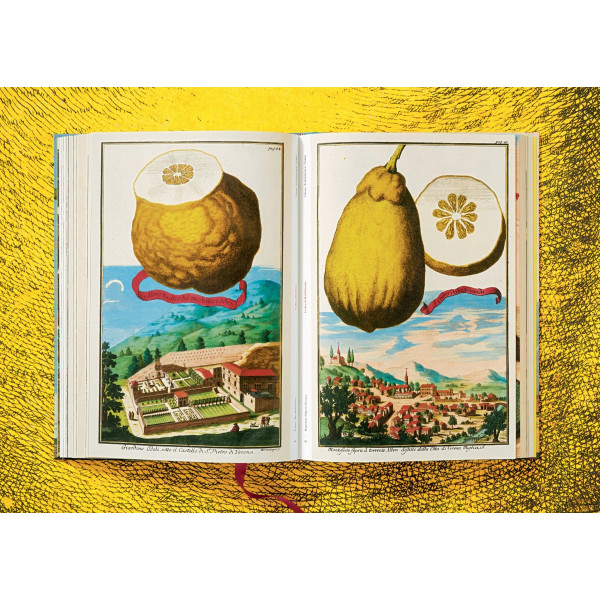 The Book of Citrus Fruits The Book of Citrus Fruits