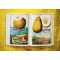 The Book of Citrus Fruits The Book of Citrus Fruits