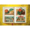 The Book of Citrus Fruits The Book of Citrus Fruits