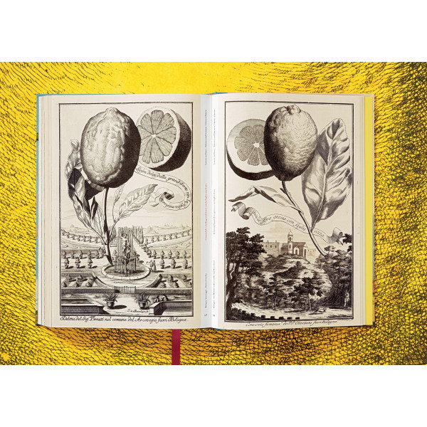 The Book of Citrus Fruits The Book of Citrus Fruits