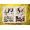 The Book of Citrus Fruits The Book of Citrus Fruits