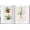 Redouté. The Book of Flowers. 40th Ed.