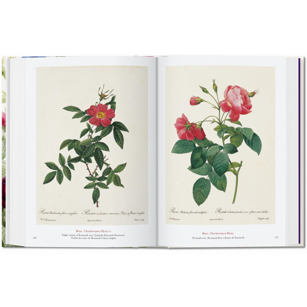 Redouté. The Book of Flowers. 40th Ed.