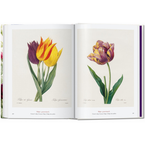 Redouté. The Book of Flowers. 40th Ed.