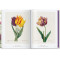 Redouté. The Book of Flowers. 40th Ed.
