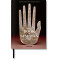 The Book of Symbols. Reflections on Archetypal Images The Book of Symbols. Reflections on Archetypal Images