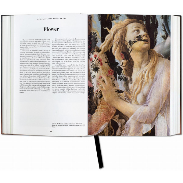 The Book of Symbols. Reflections on Archetypal Images The Book of Symbols. Reflections on Archetypal Images