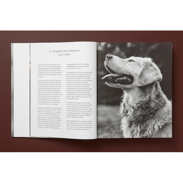 The Golden Retriever Photographic Society
