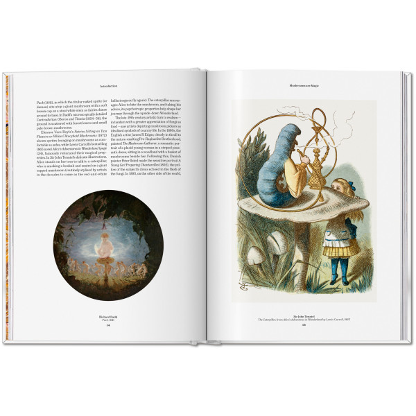 The Gourmand's Mushroom. A Collection of Stories and Recipes