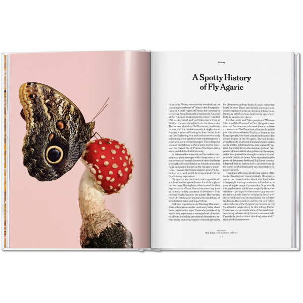 The Gourmand's Mushroom. A Collection of Stories and Recipes