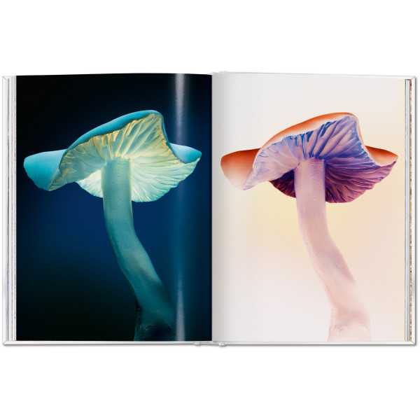 The Gourmand's Mushroom. A Collection of Stories and Recipes