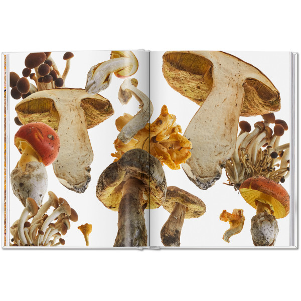 The Gourmand's Mushroom. A Collection of Stories and Recipes