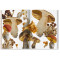 The Gourmand's Mushroom. A Collection of Stories and Recipes