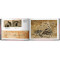 The Walt Disney Film Archives. The Animated Movies 1921–1968