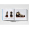 The adidas Archive. The Footwear Collection