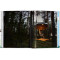 Tree Houses. 45th Ed.