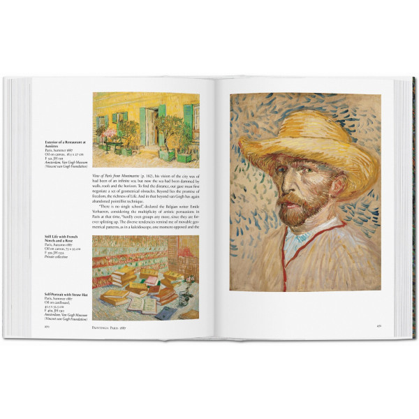 Van Gogh. The Complete Paintings