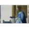 Vermeer. The Complete Works