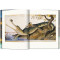 Walton Ford. Pancha Tantra. Updated Edition Walton Ford. Pancha Tantra. Updated Edition