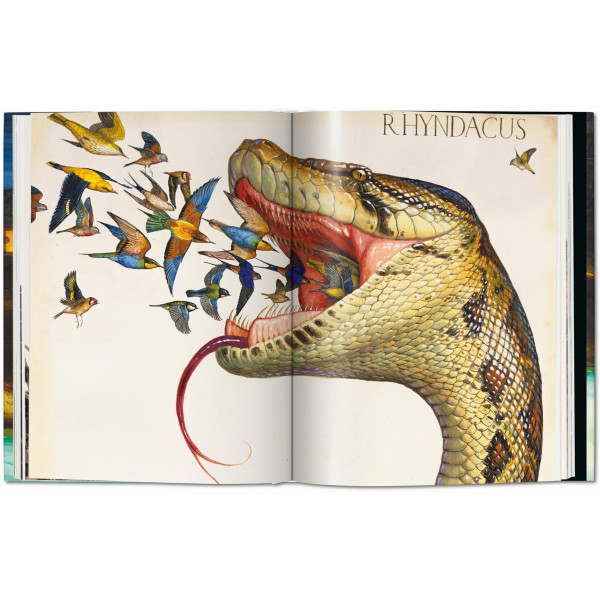 Walton Ford. Pancha Tantra. Updated Edition Walton Ford. Pancha Tantra. Updated Edition