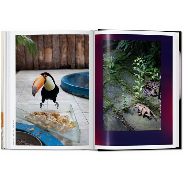 Wolfgang Tillmans. 40th Ed.