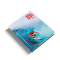 She Surf She Surf