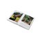 The Avant Gardens