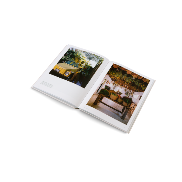 The Avant Gardens