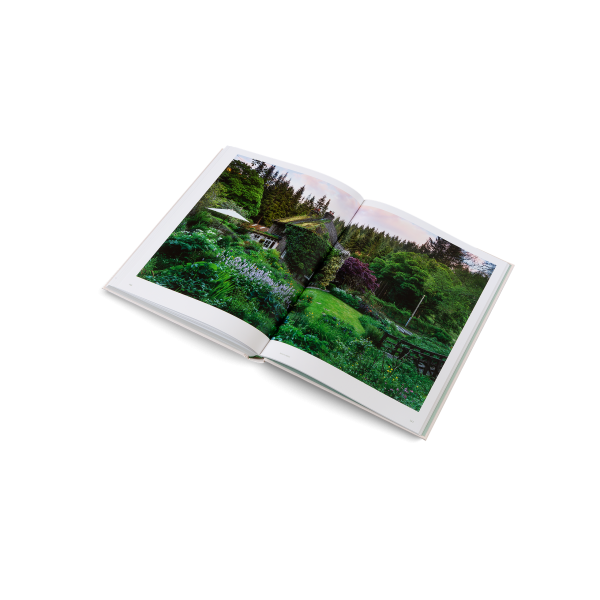 The Avant Gardens