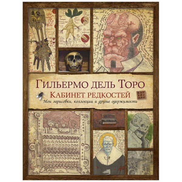 Кабинет редкостей. Мои зарисовки, коллекции и другие одержимости