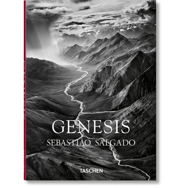 Salgado Sebastiao, Genesis