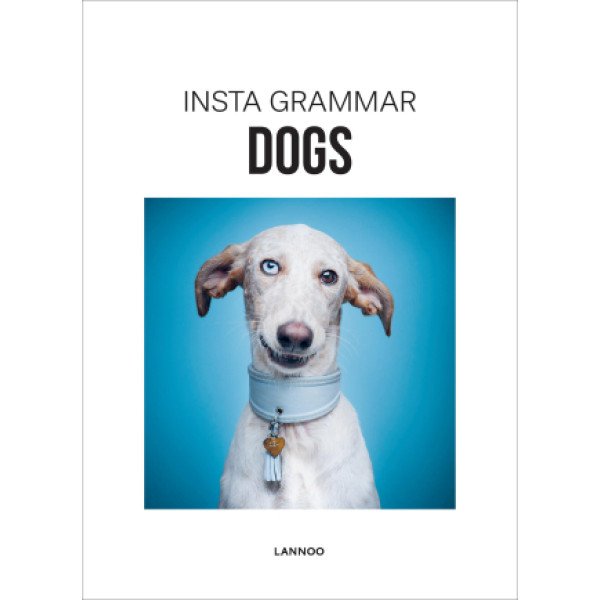 Insta Grammar: Dogs